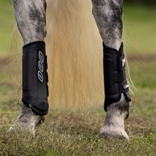 LeMieux Carbon XC achterbeenbeschermers